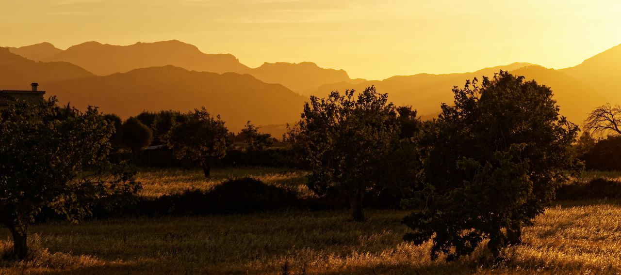Campo y sierra al atardecer