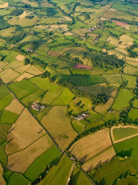 Vista aérea de campos de cultivo y casas dispersas
